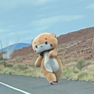 Meet your Posher, Ferdell